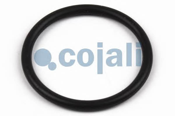 Cojali 6012006 Ремонтний комплект 6012006: Купити в Україні - Добра ціна на EXIST.UA!