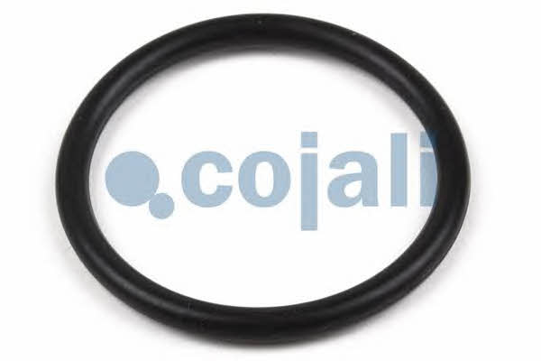 Cojali 6012146 Ремонтний комплект 6012146: Купити в Україні - Добра ціна на EXIST.UA!