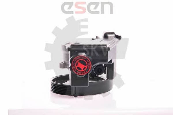 Насос гидроусилителя руля Esen SKV 10SKV159