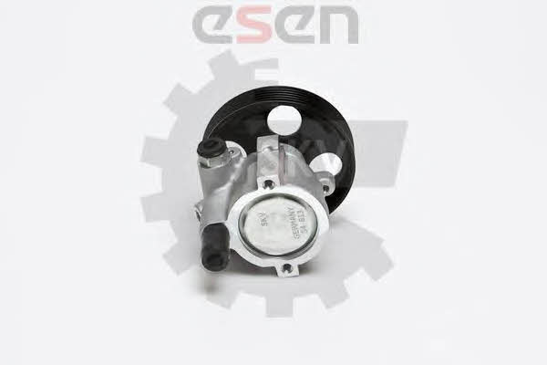 Насос гидроусилителя руля Esen SKV 10SKV168