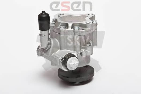 Насос гидроусилителя руля Esen SKV 10SKV123