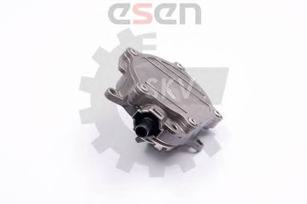 18SKV017 Esen SKV Насос вакуумный