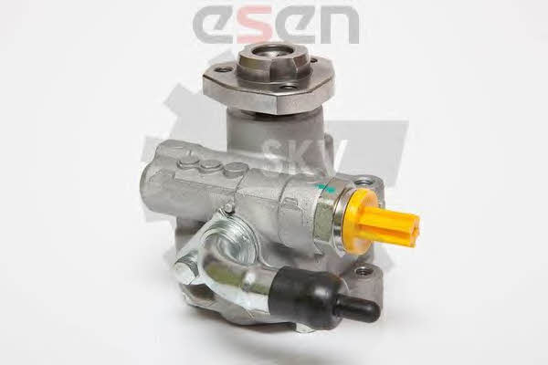 Купить Esen SKV 10SKV182 по низкой цене в Украине!