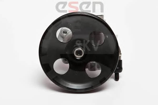 Насос гидроусилителя руля Esen SKV 10SKV006