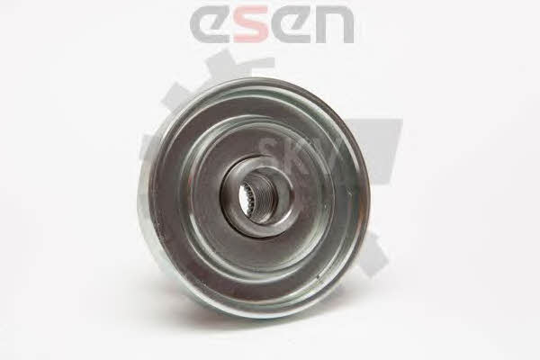 Купити Esen SKV 11SKV049 – суперціна на EXIST.UA!