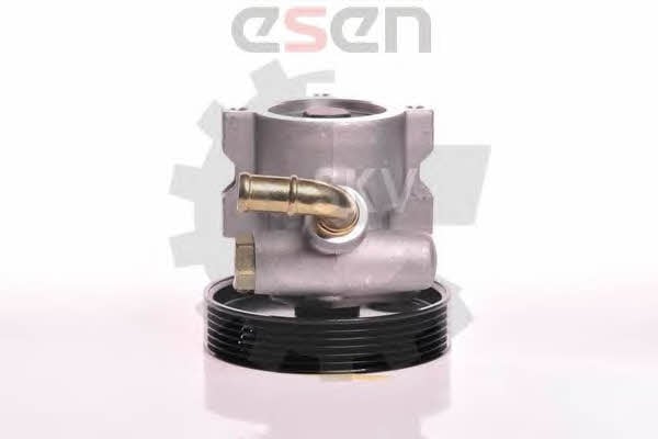 Насос гидроусилителя руля Esen SKV 10SKV013