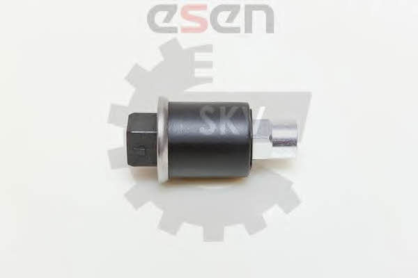 Купить Esen SKV 95SKV101 по низкой цене в Украине!