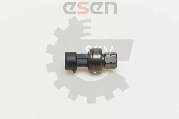 Купити Esen SKV 95SKV106 за низькою ціною в Україні!