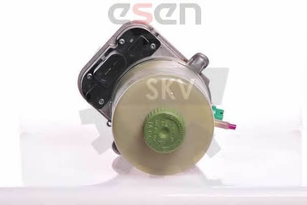 Купить Esen SKV 10SKV081 – отличная цена на EXIST.UA!
