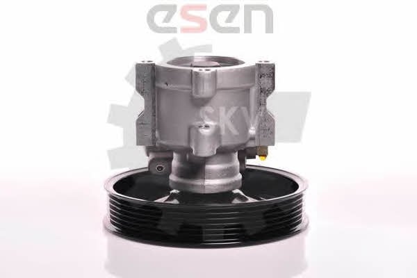 Купить Esen SKV 10SKV142 – отличная цена на EXIST.UA!