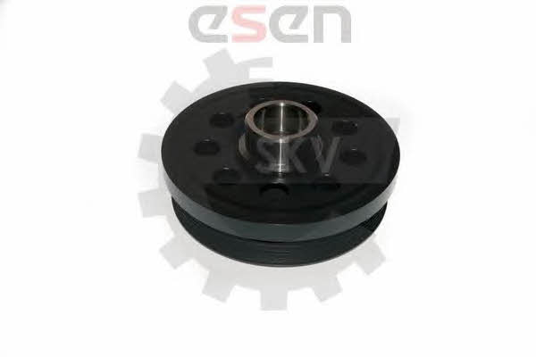 Купить Esen SKV 95SKV317 по низкой цене в Украине!