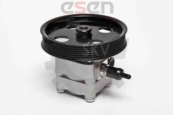 Купить Esen SKV 10SKV074 по низкой цене в Украине!