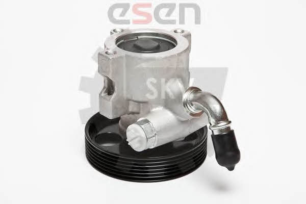 Купить Esen SKV 10SKV062 по низкой цене в Украине!