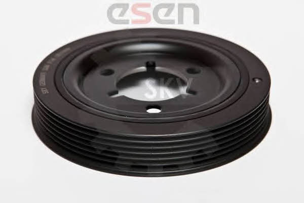 Шкив коленчатого вала Esen SKV 95SKV310