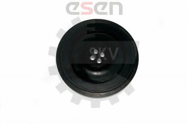 Купить Esen SKV 95SKV315 по низкой цене в Украине!