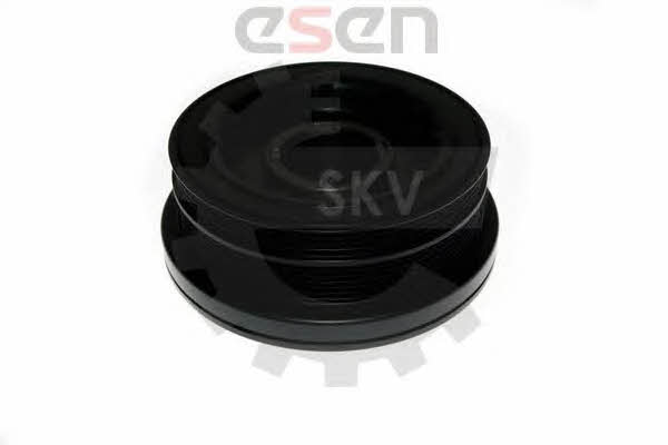 Esen SKV 95SKV315 Шків колінчатого валу 95SKV315: Купити в Україні - Добра ціна на EXIST.UA!