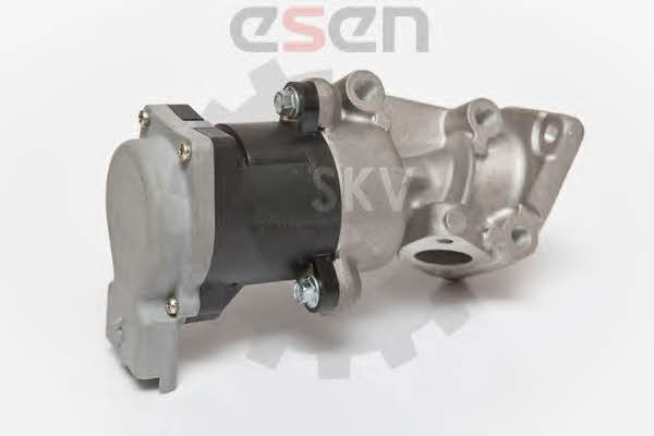 Esen SKV 14SKV066 Клапан рециркуляції відпрацьованих газів EGR 14SKV066: Купити в Україні - Добра ціна на EXIST.UA!