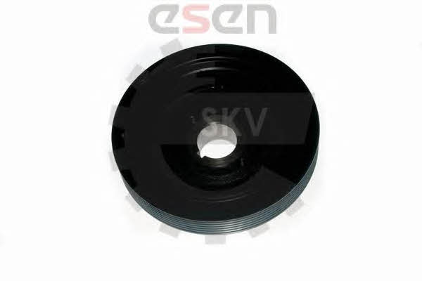 Купить Esen SKV 95SKV321 по низкой цене в Украине!