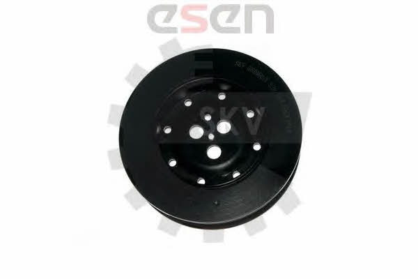 Купить Esen SKV 95SKV318 по низкой цене в Украине!