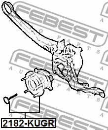 Ступица колеса задняя Febest 2182-KUGR