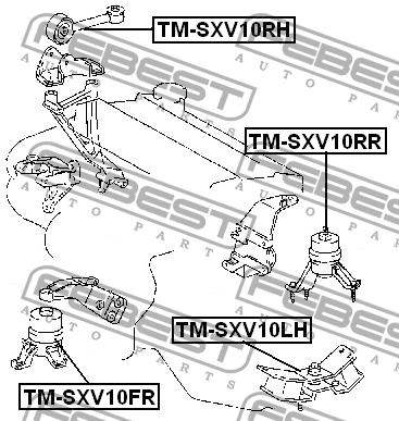 Купить Febest TMSXV10RR – отличная цена на EXIST.UA!