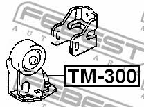 Купити Febest TM300 – суперціна на EXIST.UA!