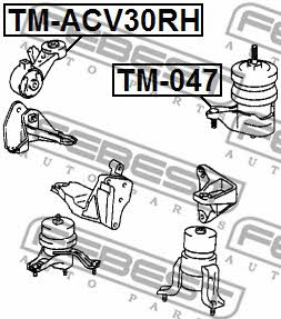 Подушка двигуна права Febest TM-ACV30RH