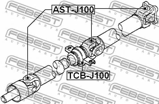 Купить Febest ASTJ100 – отличная цена на EXIST.UA!