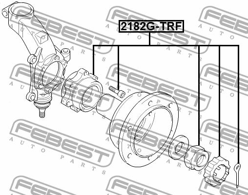 Ступица колеса передняя Febest 2182G-TRF