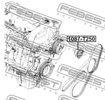 Ролик натяжной Febest 1087-T250