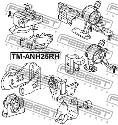 Подушка двигуна права Febest TM-ANH25RH
