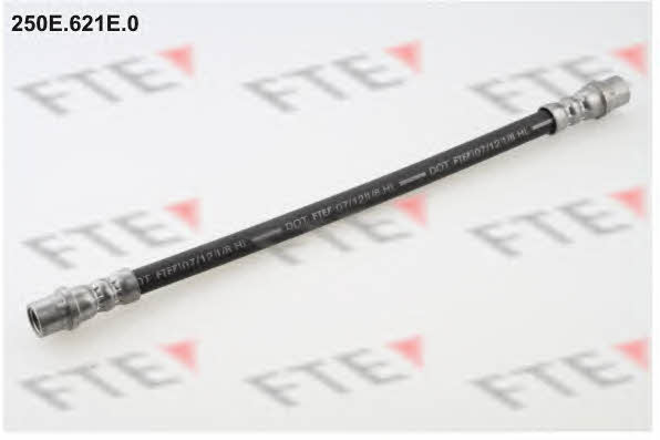 250E621E0 FTE Тормозной шланг