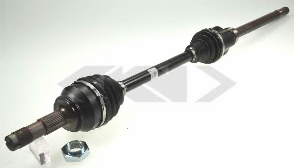 Купить GKN-Spidan 25621 по низкой цене в Украине!