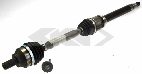 Купить GKN-Spidan 24868 по низкой цене в Украине!