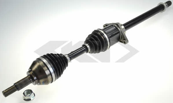 Купить GKN-Spidan 24906 по низкой цене в Украине!