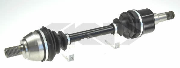 Купить GKN-Spidan 25121 по низкой цене в Украине!