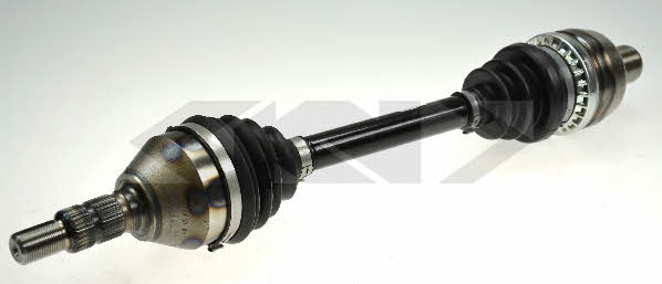 Купить GKN-Spidan 24954 по низкой цене в Украине!