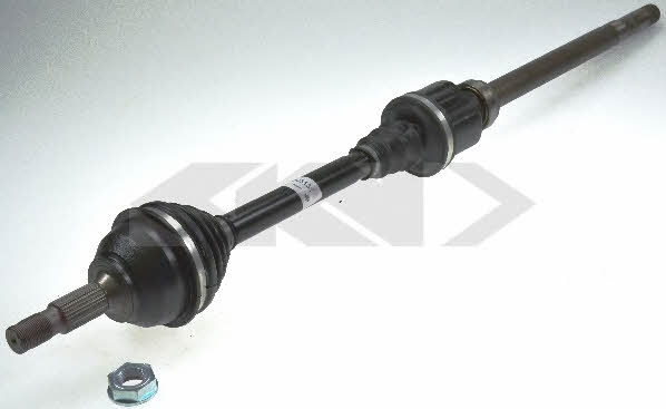 Купить GKN-Spidan 24873 по низкой цене в Украине!