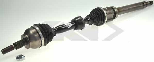 Купить GKN-Spidan 25713 – отличная цена на EXIST.UA!
