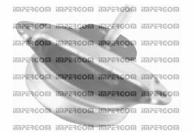 Impergom 29204 Подушка двигуна 29204: Купити в Україні - Добра ціна на EXIST.UA!