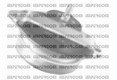 Impergom 29203 Подушка двигуна 29203: Купити в Україні - Добра ціна на EXIST.UA!
