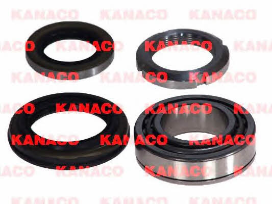 Kanaco H20311 Підшипник маточини колеса, комплект H20311: Купити в Україні - Добра ціна на EXIST.UA!