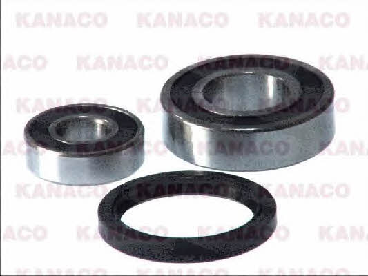 Купить Kanaco I81000 по низкой цене в Украине!