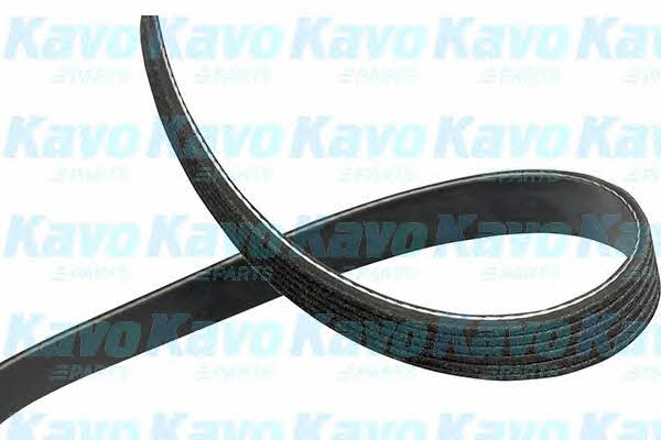 Купити Kavo parts DMV-1005 за низькою ціною в Україні!