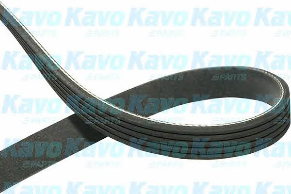 Купити Kavo parts DMV-1031 за низькою ціною в Україні!