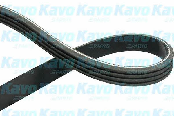 Купити Kavo parts DMV-3005 за низькою ціною в Україні!