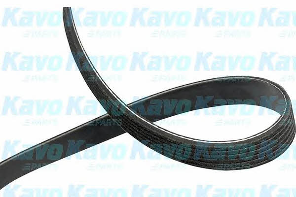 Kavo parts DMV-9005 Поликлиновый ремень 6PK2255 DMV9005: Отличная цена - Купить в Украине на EXIST.UA! DMV9005 Kavo parts Поликлиновый ремень 6PK2255
