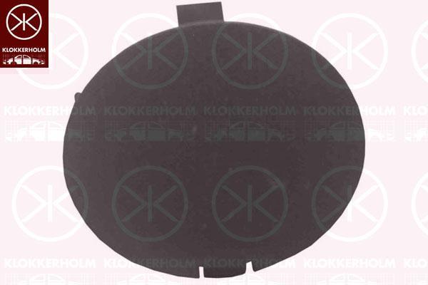Klokkerholm 2019914A1 Заглушка буксирувального гака 2019914A1: Купити в Україні - Добра ціна на EXIST.UA!