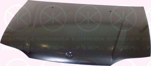Klokkerholm 2007280 Капот 2007280: Купити в Україні - Добра ціна на EXIST.UA!
