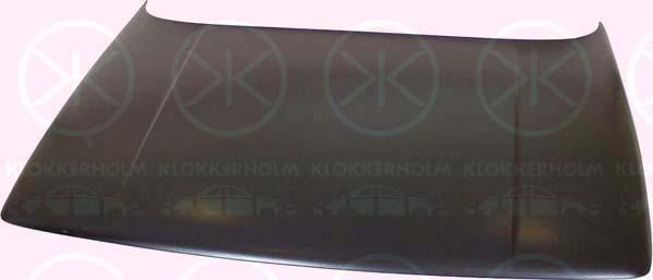 Klokkerholm 2025280 Капот 2025280: Купити в Україні - Добра ціна на EXIST.UA!